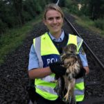 Der noch junge Vogel nach der Rettung aus dem Gleisbereich