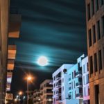 phoenix see dennis diete (2)