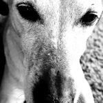 20201005_141345