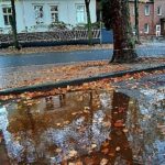 Herbst Pfütze Regen Morgenstr