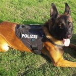 Kasimir Polizei DO