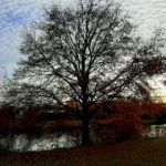Ruhr Wickede Herbst Abend