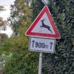 WILDWECHSEL PALZSTR FRÖ (1)