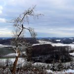 Winter Schnee
