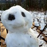 Winter Schnee