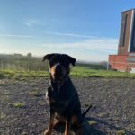 Bönen Förderturm Hund Andi Moni