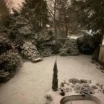 Schnee 6./7. 2.
