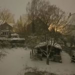 Schnee 6./7. 2.
