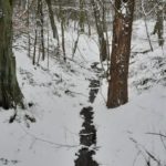 SCHNEE WINTER 7. 2. 2021 (21)