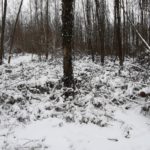 SCHNEE WINTER 7. 2. 2021 (23)