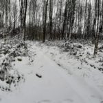 SCHNEE WINTER 7. 2. 2021 (28)