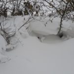 SCHNEE WINTER 7. 2. 2021 (33)