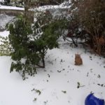 SCHNEE WINTER 7. 2. 2021 (37)