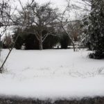 SCHNEE WINTER 7. 2. 2021 (40)