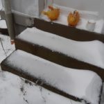 SCHNEE WINTER 7. 2. 2021 (41)