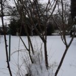 SCHNEE WINTER 7. 2. 2021 (43)