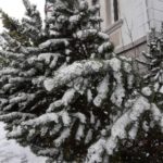 SCHNEE WINTER 7. 2. 2021 (44)