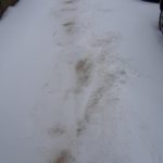 SCHNEE WINTER 7. 2. 2021 (6)