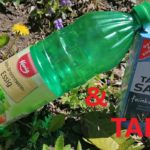 Essig und Salz tabu bearb