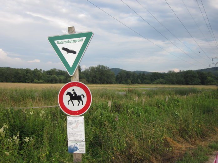 Westicker Naturschutzgebiet Kiebitzwiese