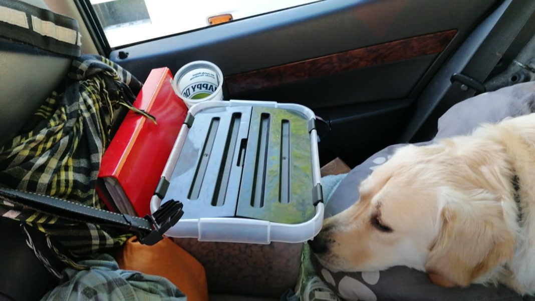 Unverschuldet obdachlos Holzwickeder Ehepaar lebt mit Hund Barney