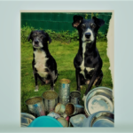 Tiertafel Hamm