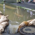 Hochwasser Seniorenzentrum
