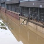 Löhnbad Flut