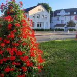 BLUMENPYRAMIDEN FRÖ (2)