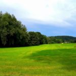 WIESE FELD GRÜN NATUR FR