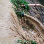 Flut Teich