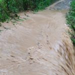 Flut Teich