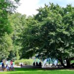 Kurpark Spielplatz 8. 8. 21