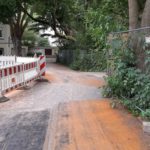 Bornekamp Katzenbuckel Rodelberg