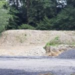 Bornekamp Katzenbuckel