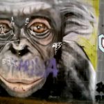 Graffiti Tunnel Bahnhof Köbo