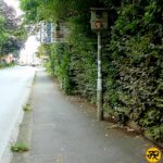 Starenkasten Beethovenring