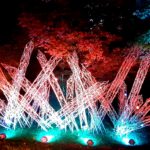 Stadtlichter 2021 Westfriedhof 2021