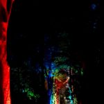 Stadtleuchten Westfriedhof 2021