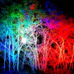 Stadtleuchten Westfriedhof 2021