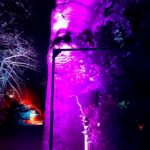 Stadtleuchten Westfriedhof 2021