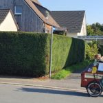 Robby Leierkastenmann 1