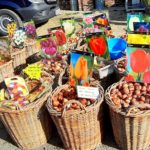 Bauernmarkt Frö 2021