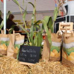 Bauernmarkt Frö 2015 (25)