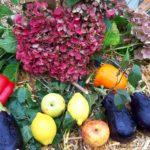 Bauernmarkt Fröndenberg 2019 (11)