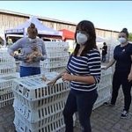 RETTET DAS HUHN INDRA WOLF (14)