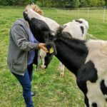 RETTET DAS HUHN INDRA WOLF (4)