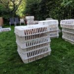 RETTET DAS HUHN INDRA WOLF (6)