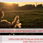 Rettet das Huhn Titel