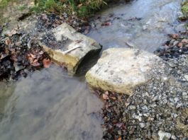 Trockenheit und Hitze: Kreis Unna beschränkt Wasserentnahme aus Flüssen und Bächen – Ruhr oder Lippe nicht betroffen